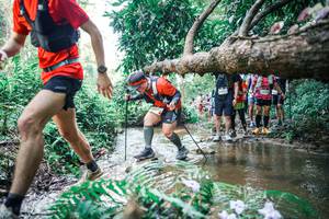 BIB: 
                            <button type="button" onclick="openModal(25469380)" class="btn btn-primary btn-sm float-right btn-popup" data-toggle="modal" data-target=".modal-high-quality">
                        <i class="fas fa-shopping-cart"></i> Add to Cart
                    </button>
                                            <button type="button" onclick="isThisMe(25469380, true)" class="btn btn-success btn-sm float-right btn-popup btn-isme hidden" data-toggle="tooltip" data-placement="bottom" title="นี่คือรูปของคุณใช่ไหม คลิกที่นี่เพื่อเอาเข้าอัลบั้ม">
                        <i class="fas fa-plus"></i> Add to album
                    </button>
                    <button type="button" onclick="isThisMe(25469380, false)" class="btn btn-warning btn-sm float-right btn-popup btn-isnotme hidden">
                        <i class="fas fa-ban"></i> Remove from album
                    </button>